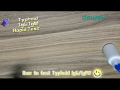 15mins Kit de Teste Rápido de Tifóide Fezes Soro Amostra de Plasma Teste de Antígeno de Salmonella Typhi