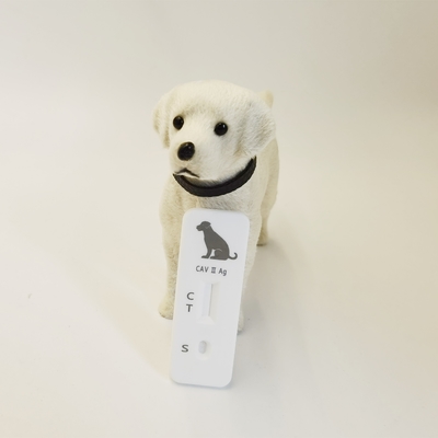 Veterinary diagnostic tests Canine Parvo Virus Antigen Rapid Test Kits (CPV Ag)