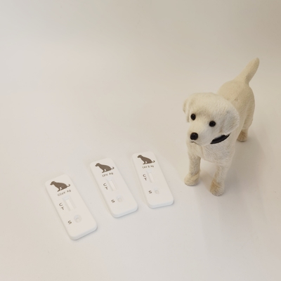 Canine Parvovirus CPV Antigen Rapid Test Kit Veterinary Rapid Diagnostic Test Kit